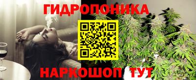 ешки Будённовск