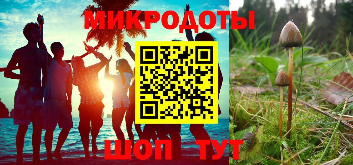 Псилоцибиновые грибы ЛСД  Вход с VPN  Псилоцибиновые грибы MAGIC MUSHROOMS  купить наркотики цена  Моздок 