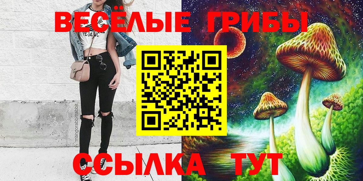 Псилоцибиновые грибы GOLDEN TEACHER Моздок