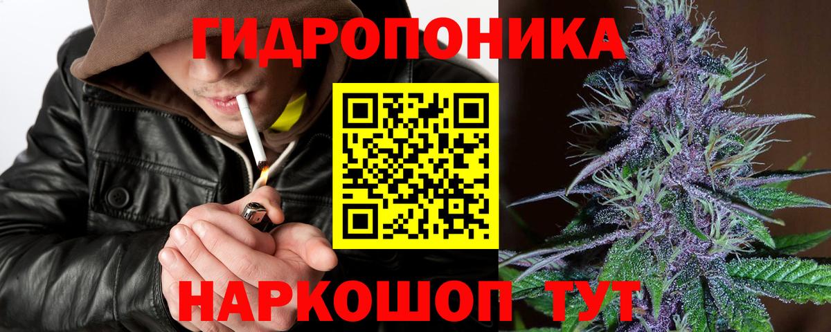 Бошки марихуана OG Kush Моздок